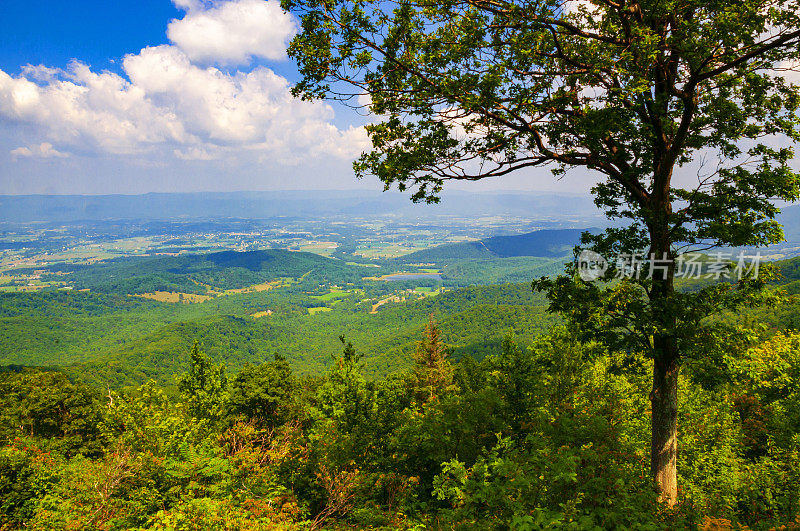 俯瞰Shenandoah Skyline Drive